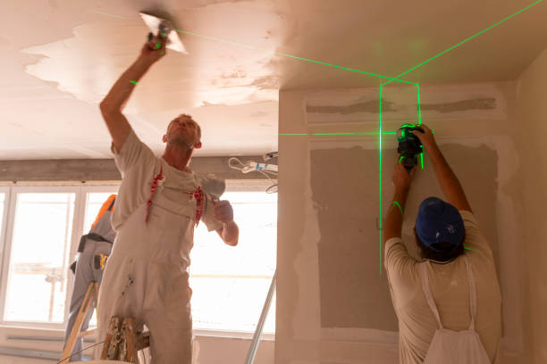 Best Drywall Patching  in USA